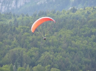 Elevándose sobre los árboles